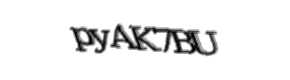 Security check image, please type the characters shown