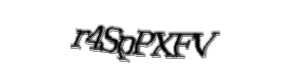 Security check image, please type the characters shown
