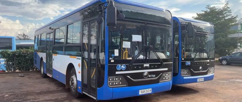 Two blue busses lined up next to each other