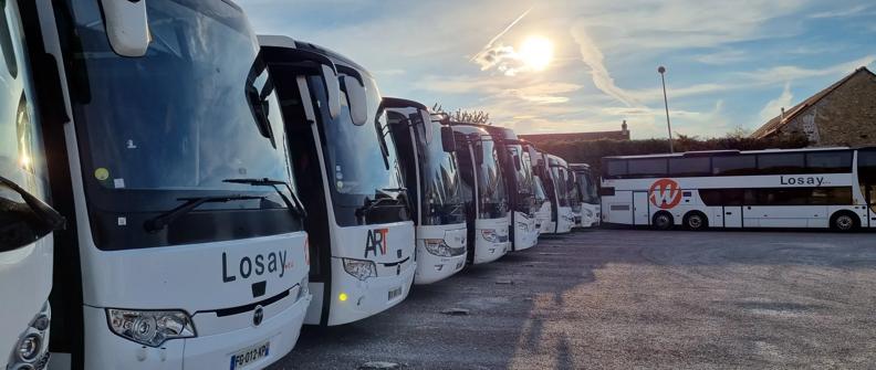 An image of a line of white coach buses in the setting sun.